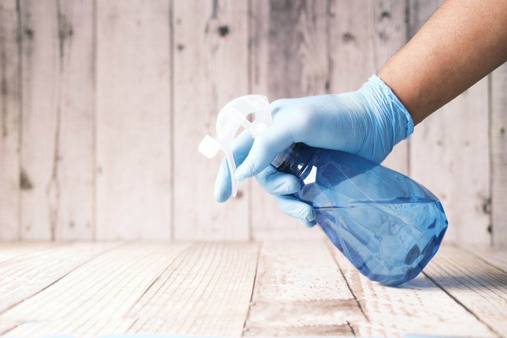 Window cleaning, House cleaning